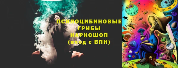 твердый Заводоуковск