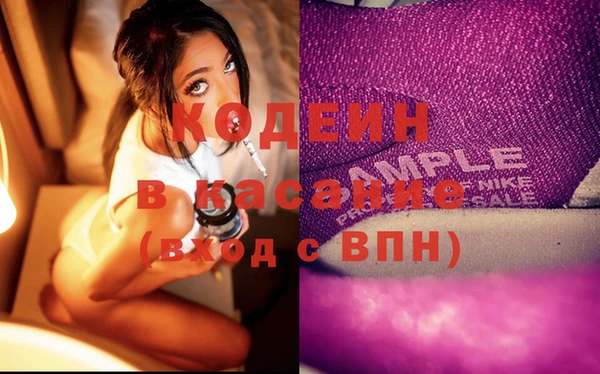 твердый Заводоуковск