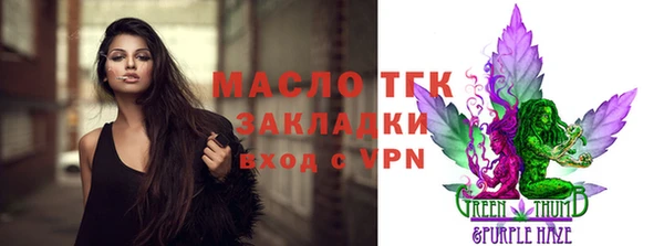 твердый Заводоуковск