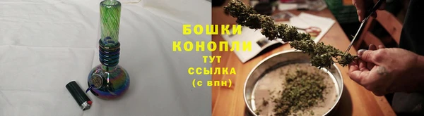твердый Заводоуковск