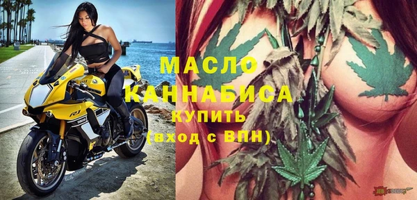 твердый Заводоуковск