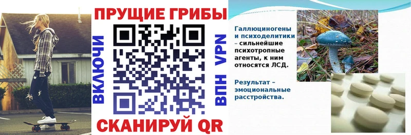 Галлюциногенные грибы MAGIC MUSHROOMS  Купить где  Емва 
