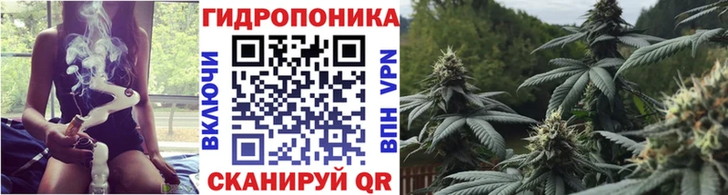 Купить  Емва  Бошки Шишки Ganja 